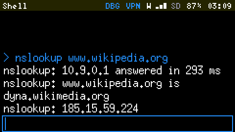 The Shell: nslookup www.wikipedia.org prints 10.9.0.1 answered in 293 ms, www.wikipedia.org is dyna.wikimedia.org, and 185.15.59.224.
